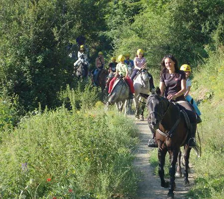 Auberge de jeunesse Alberg Hipic *